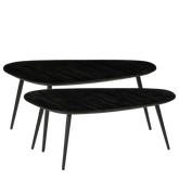 Jailey Bijzettafel - Set van 2 - L84 x B39 x H39 cm - Gerecycled Hout - Zwart