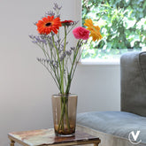 Vaas - Neris 6 stuks