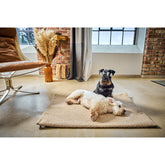 Deken TEDDY CREAM - multifunctionele deken