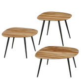 Jailey Bijzettafel - Set van 3 - L62 x B52 x H34 cm - Gerecycled Hout - Bruin