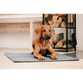 Deken TEDDY GRIJS - multifunctionele deken