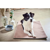 Deken BUFFALO CREAM - multifunctionele deken