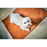 Deken BUFFALO CAMEL - multifunctionele deken