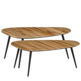 Jailey Bijzettafel - Set van 2 - L84 x B39 x H39 cm - Gerecycled Hout - Bruin