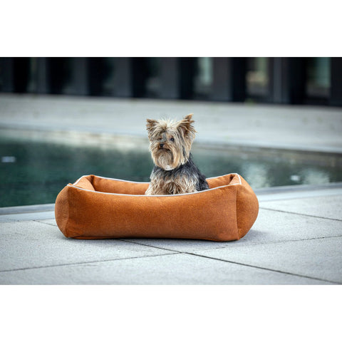 KLASSIEKE Hundebett - BUFFELKAMEEL