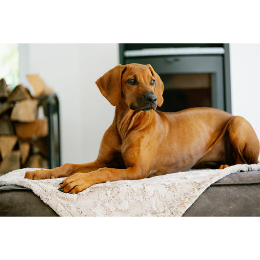 Deken COSY BEIGE - Elegante deken van imitatiebont