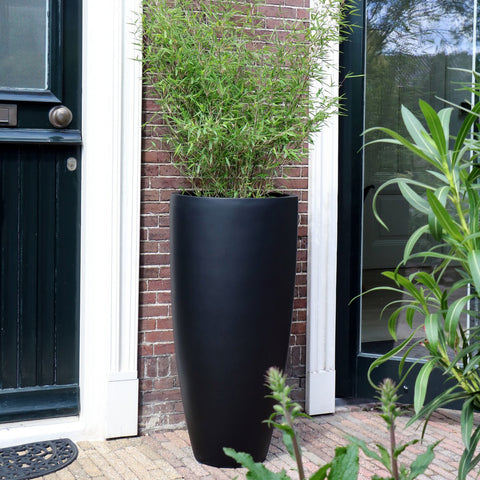Plantenpot - Kentucky black