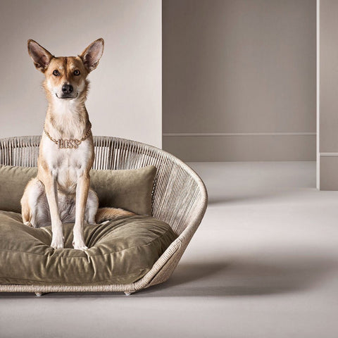 VOGUE - Design hondenmand OXFORD