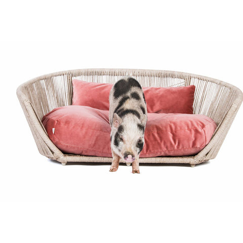 VOGUE - Design hondenmand OXFORD