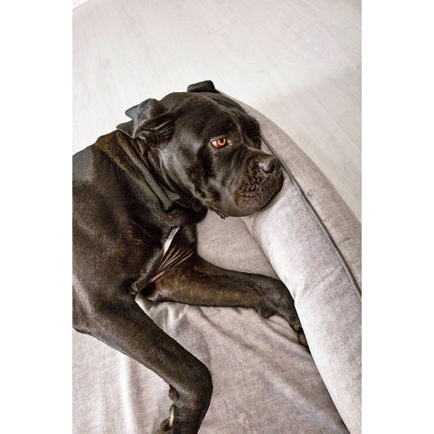 CLASSIC hondenbed - GLAM SILVER