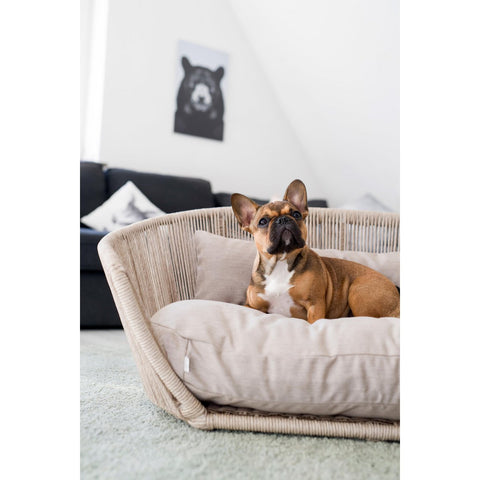 VOGUE - Design-Hudebett SMOOTH