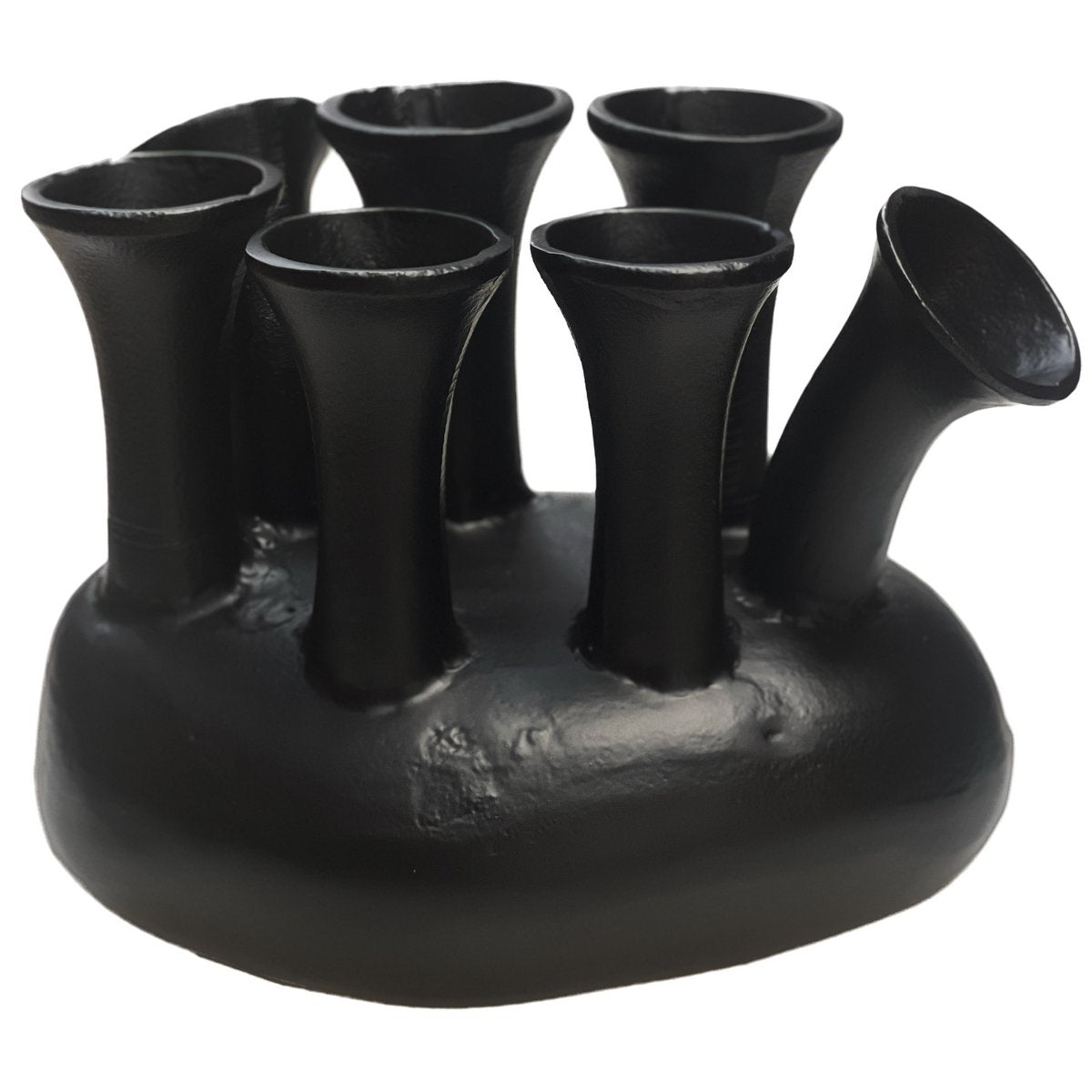 Vaas Assen black