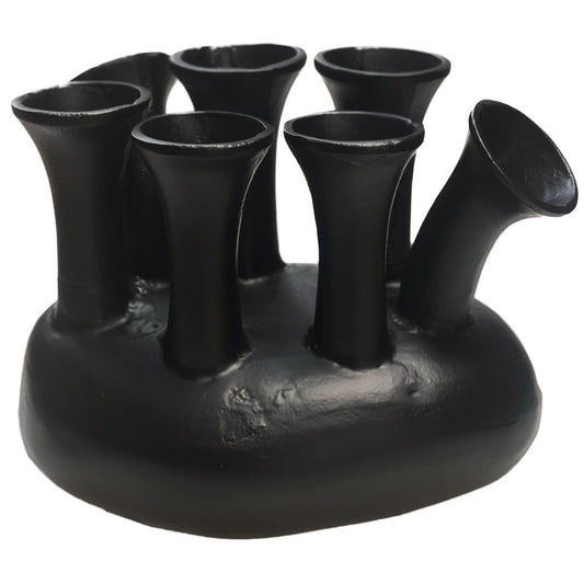 Vaas Assen black