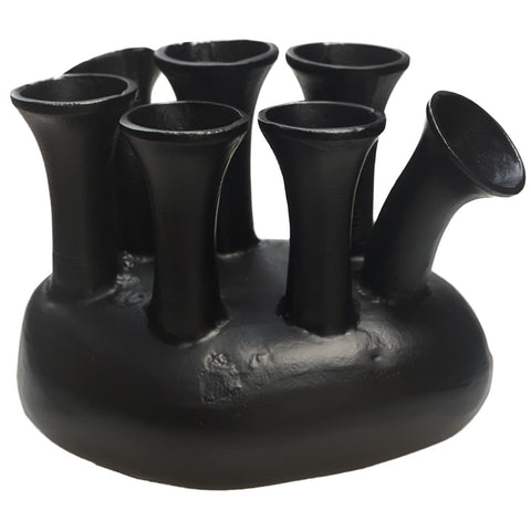 Vaas Assen black
