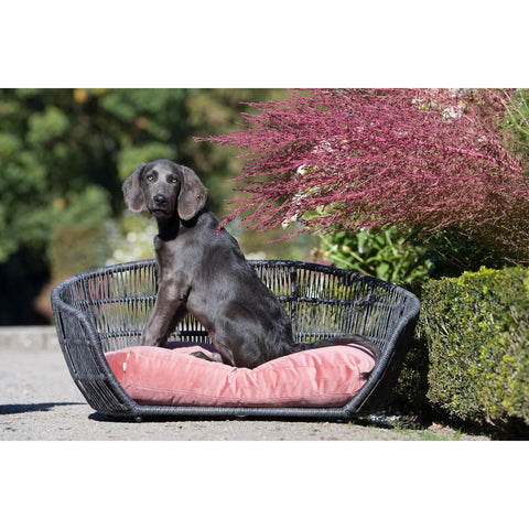PRADO - OXFORD design hondenmand