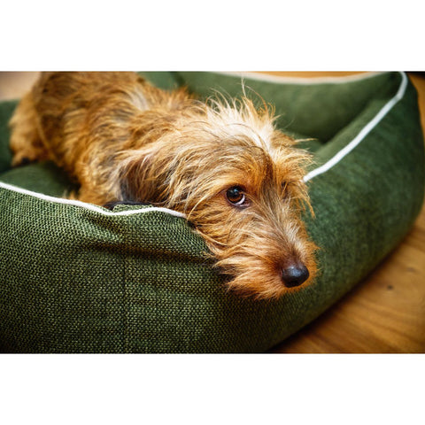KLASSIEK Hundebett - ECO GROEN