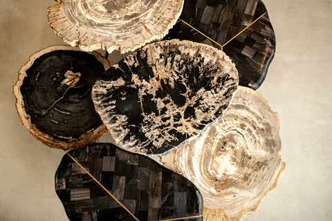 New Khine cream petrified wood coffee table round sv