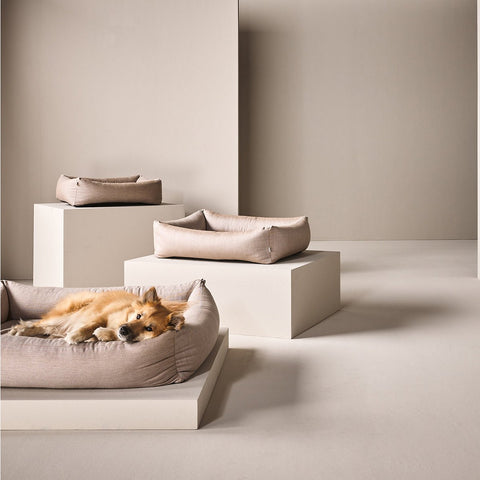 BUITEN Hundebett - GLADDE LINO