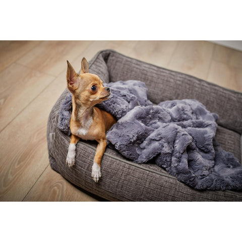 KLASSIEKE Hundebett - NOVA STEEN