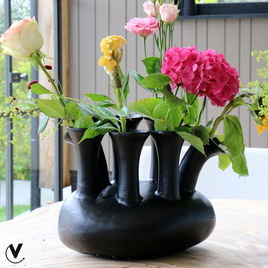 Vaas Assen black