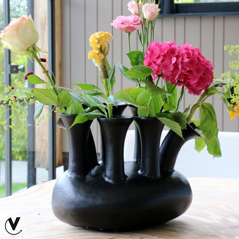 Vaas Assen black