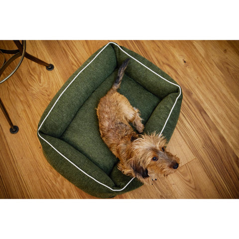 Ortho Dog Bett - Eco Olive