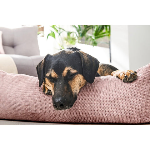 KLASSIEKE Hundebett - TUDOR ROSE