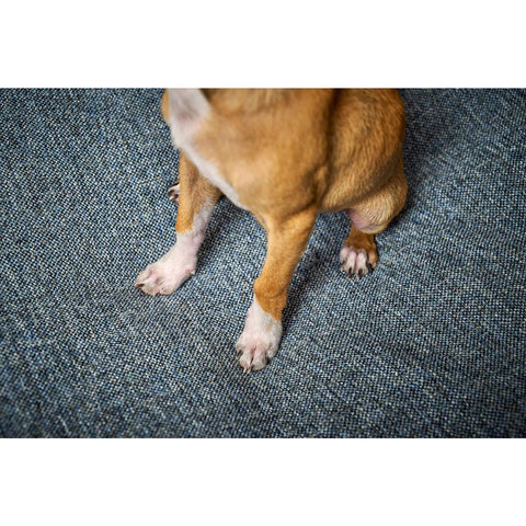 KLASSIEKE Hundebett - SCALA DENIM