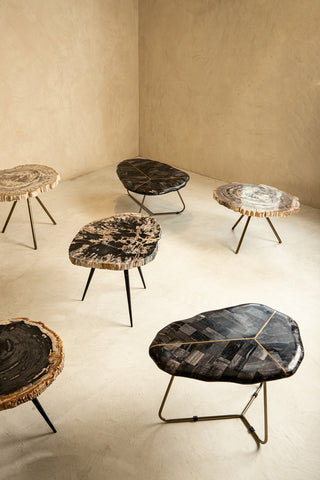 New Khine cream petrified wood coffee table round sv