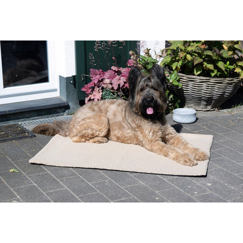 Deken TEDDY CREAM - multifunctionele deken