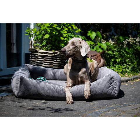KLASSIEKE Hundebett - OXFORD STEEN