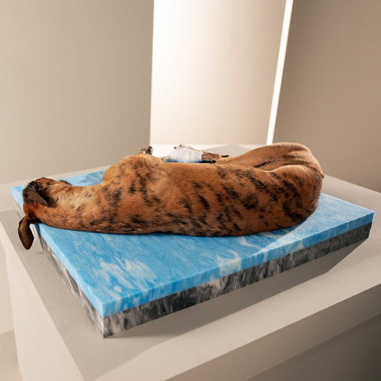 Ortho Dog Bett - Eco Olive