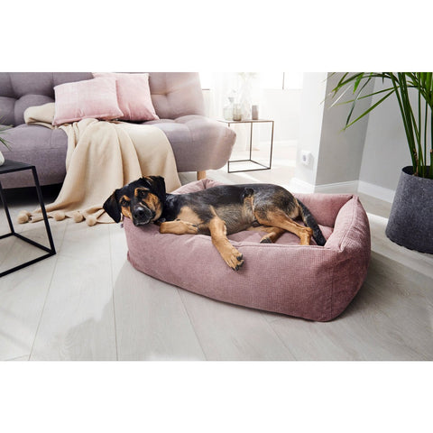 KLASSIEKE Hundebett - TUDOR ROSE