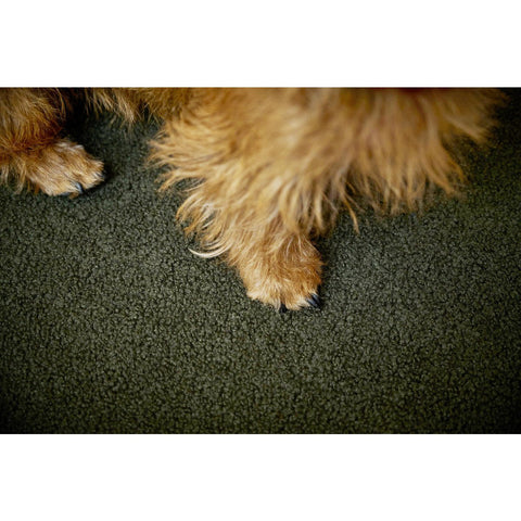 KLASSIEKE Hundebett - TEDDYGROEN