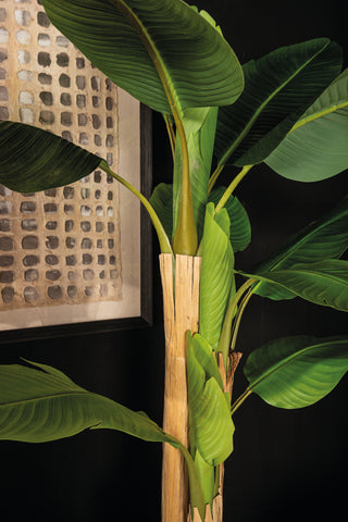 Kunstbananenboom Real Touch S - PTMD - Tropische Kunstplant