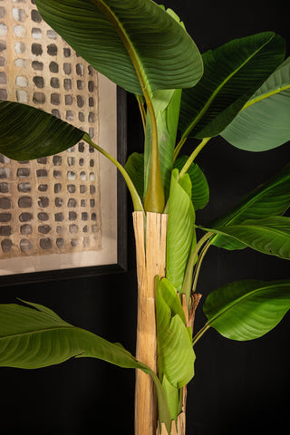 Kunstbananenboom Real Touch S - PTMD - Tropische Kunstplant