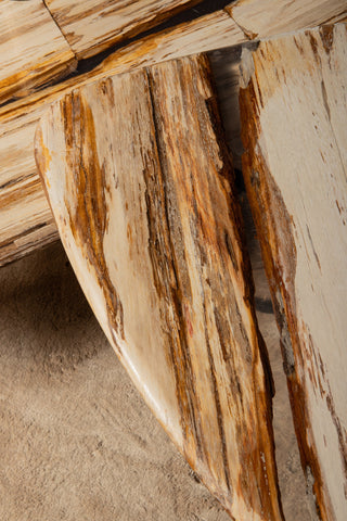 PTMD Deeba Salontafel Versteend Hout 95x85 cm