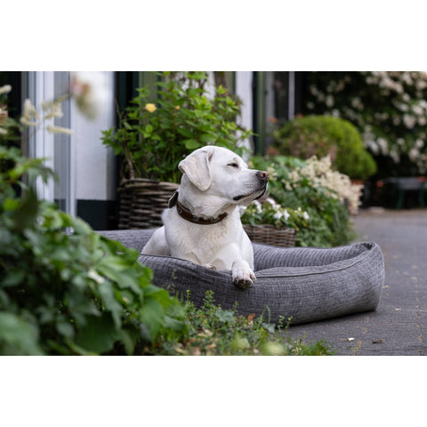 KLASSIEKE Hundebett - NOVA STEEN