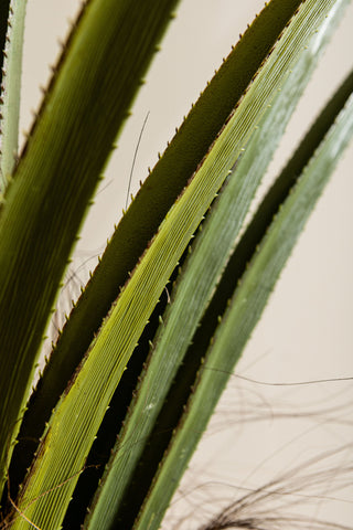 Kunstboom Pandanus 150 cm Groen PTMD