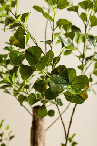 Kunstboom Triangularis 180 cm Groen PTMD