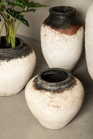 Pot Jinsu Wit Tarro Donkere Rand 70 cm PTMD