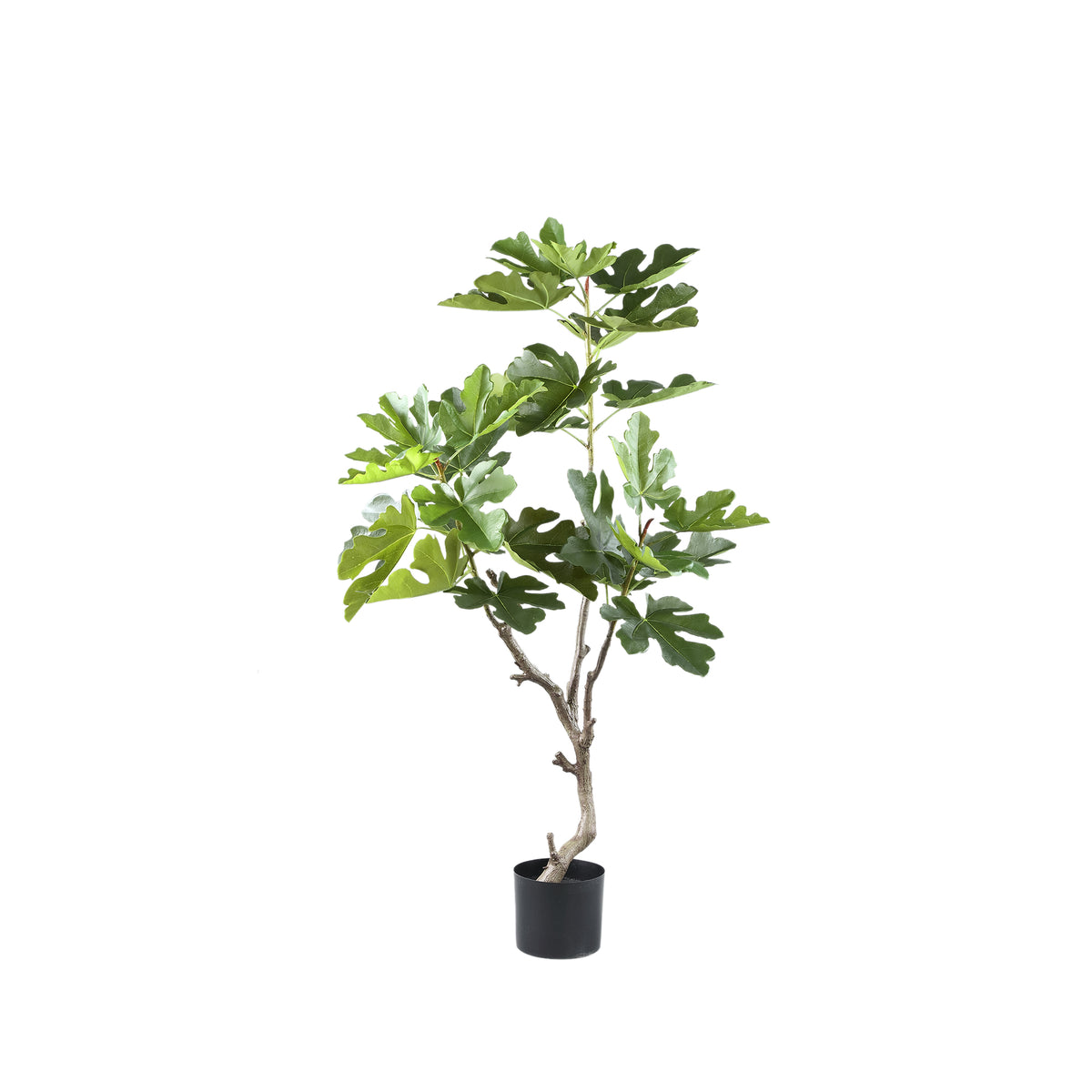 Kunstplant Vijgenboom Compact 122 cm In Pot PTMD