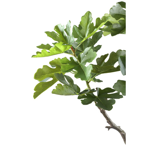Kunstplant Vijgenboom Compact 122 cm In Pot PTMD