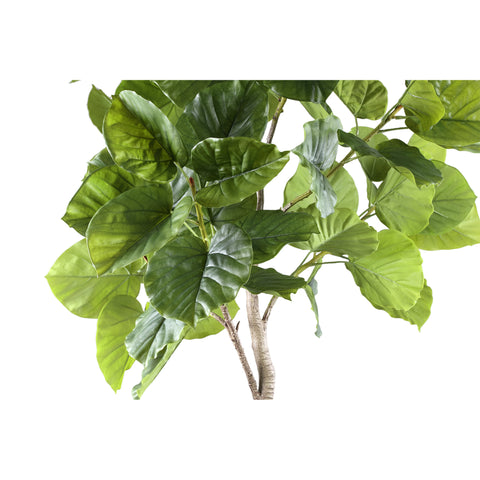Kunstplant Ficus 183 cm In Pot PTMD