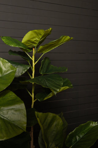 PTMD Kunstficus Boom Groen 122cm