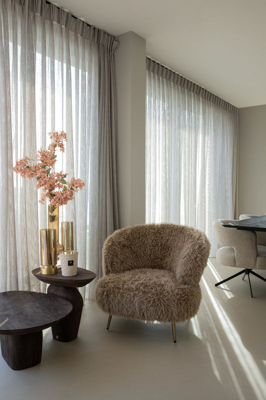 Ptmd Fauteuil Franklyn Bruin