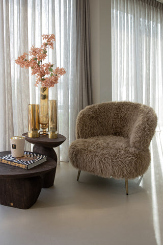 Ptmd Fauteuil Franklyn Bruin