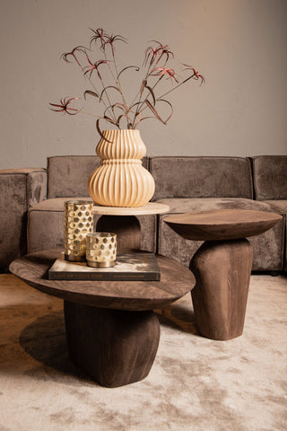 Salontafel Harshad Ovaal Mangohout Donkerbruin PTMD