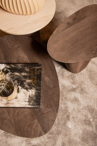 Harshad Bruine Mango Houten Koffietafel Biologisch