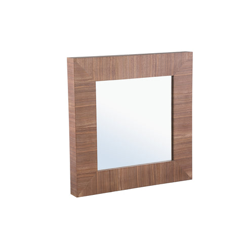 PTMD Tiess Houten Fineer Spiegel Rechte Lijst S